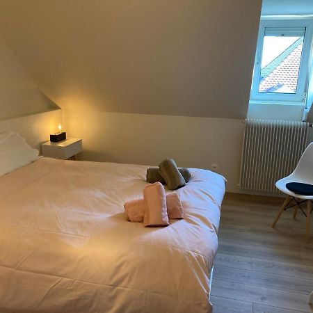 Les Moulins Tres Agreable Et Idealement Situe Leilighet Colmar Eksteriør bilde