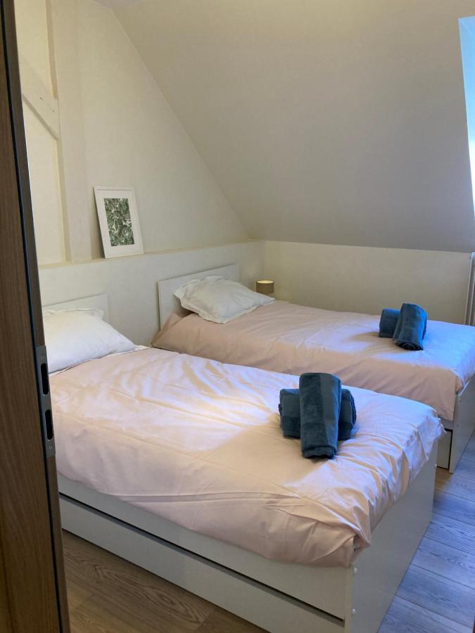 Les Moulins Tres Agreable Et Idealement Situe Leilighet Colmar Eksteriør bilde