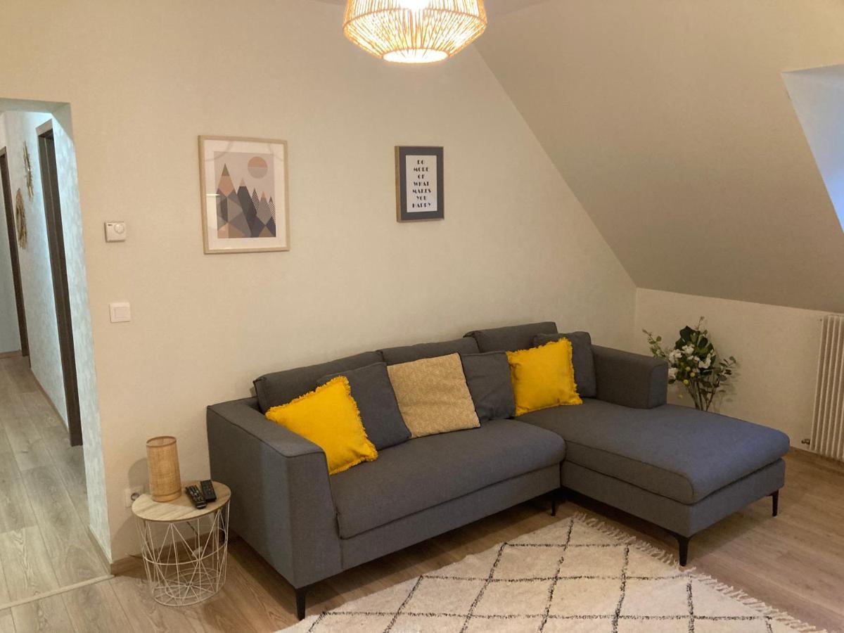 Les Moulins Tres Agreable Et Idealement Situe Leilighet Colmar Eksteriør bilde